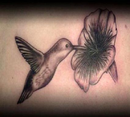 Hummingbird Pic Tattoos Design